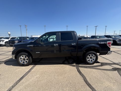 Used 2014 Ford F150 XLT w/ Equipment Group 302A Luxury image 4
