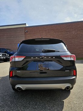Used 2021 Ford Escape SEL image 6