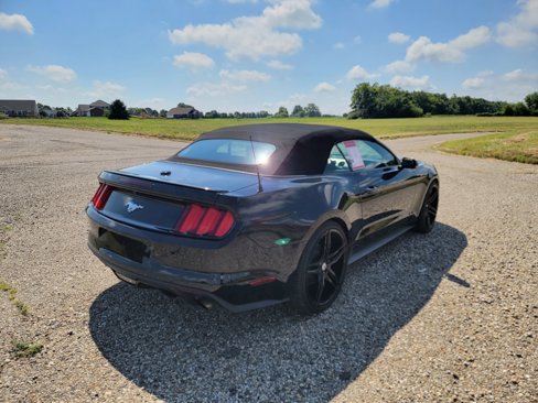 Used 2017 Ford Mustang Premium image 12