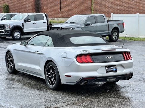 Used 2019 Ford Mustang Premium image 11