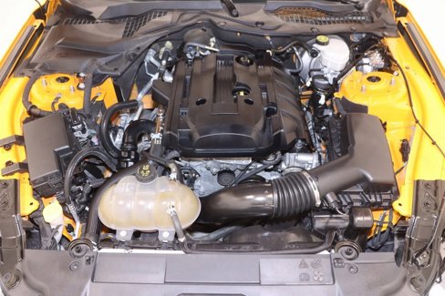 Certified 2019 Ford Mustang Coupe w/ Equipment Group 101A image 33