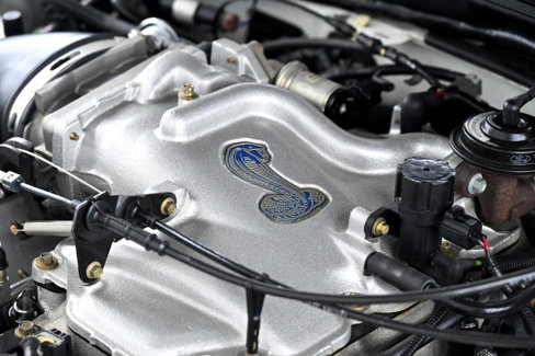 Used 1999 Ford Mustang Cobra image 23