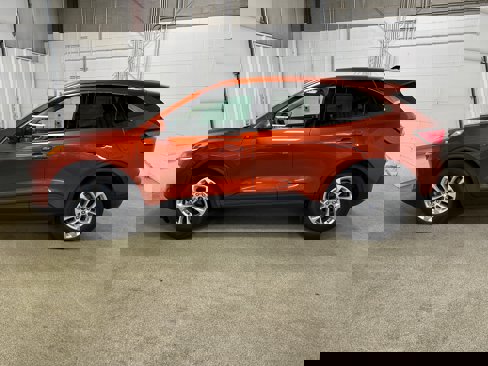 Used 2020 Ford Escape SE image 4