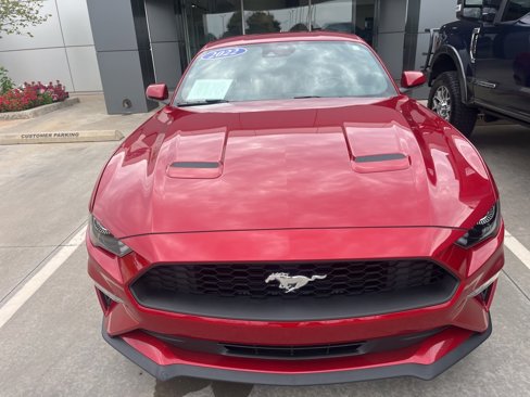 Used 2022 Ford Mustang Premium w/ Equipment Group 201A image 2