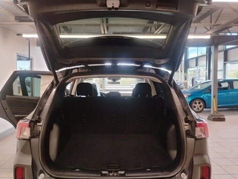 Used 2021 Ford Escape SE w/ SE Sport Appearance Package image 15
