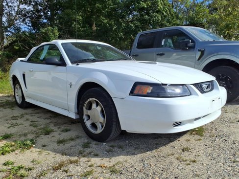 Used 2000 Ford Mustang Convertible image 1