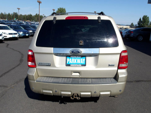 Used 2010 Ford Escape Limited image 4