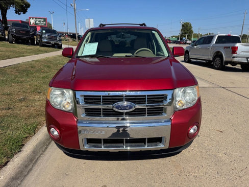 Used 2009 Ford Escape Limited image 7