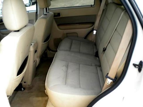 Used 2010 Ford Escape XLT image 9