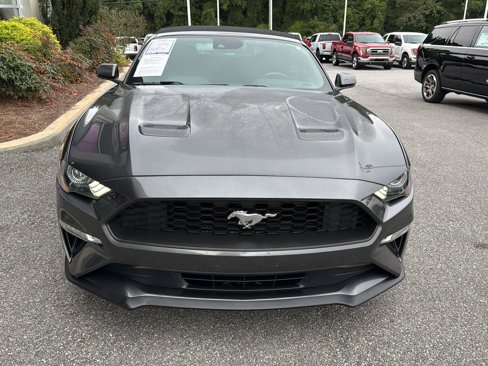Used 2019 Ford Mustang Premium w/ Equipment Group 201A image 7