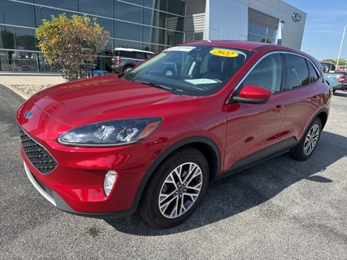 Used 2022 Ford Escape SEL image 2