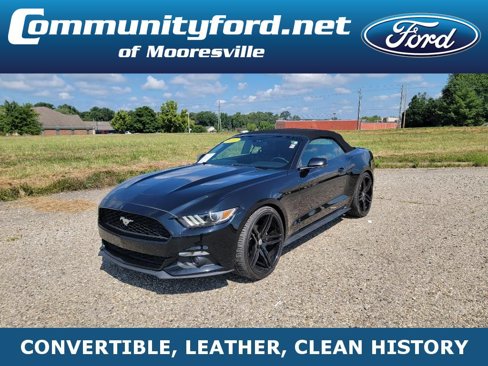 Used 2017 Ford Mustang Premium image 1