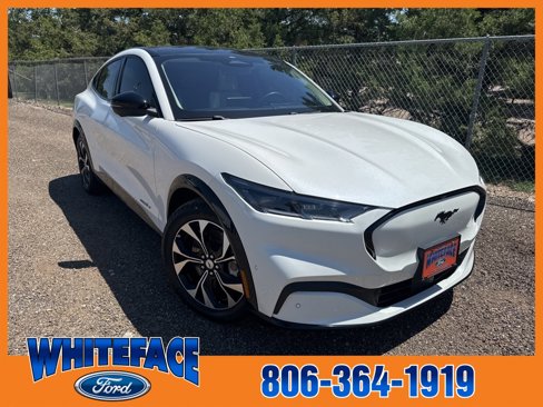 Used 2021 Ford Mustang Mach-E Premium image 8