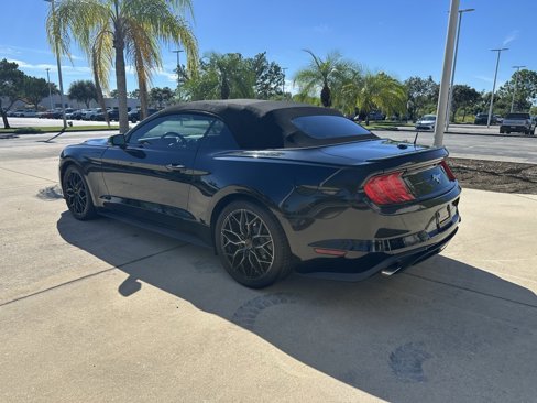 Used 2019 Ford Mustang Premium w/ Equipment Group 201A image 7
