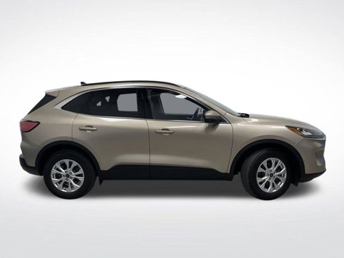 Used 2020 Ford Escape Titanium image 2