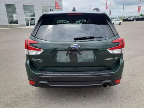 Used 2022 Subaru Forester Limited w/ Popular Package #3 image 6
