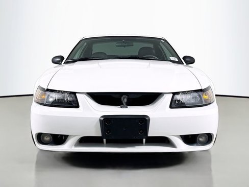 Used 2001 Ford Mustang Cobra image 2