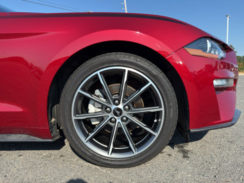 Certified 2019 Ford Mustang Coupe w/ Equipment Group 101A image 8
