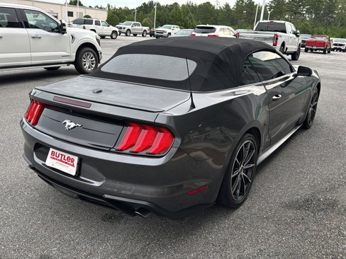 Used 2019 Ford Mustang Premium w/ Equipment Group 201A image 5