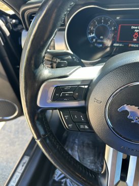 Used 2019 Ford Mustang Premium w/ Equipment Group 201A image 20