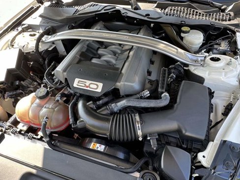 Used 2015 Ford Mustang 50 Years image 15