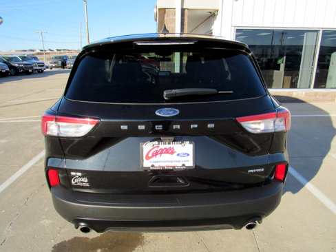 Used 2022 Ford Escape SE w/ SE Sport Appearance Package image 6