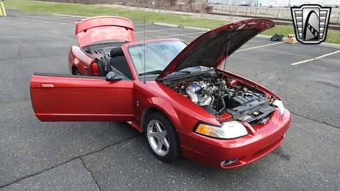 Used 2001 Ford Mustang Cobra image 16