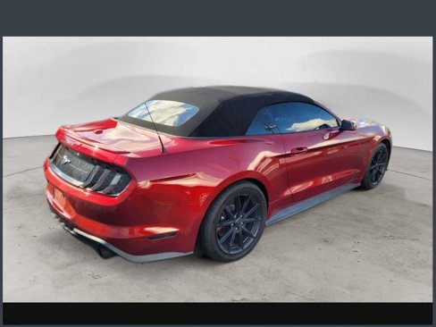 Used 2019 Ford Mustang Premium w/ Equipment Group 201A image 2