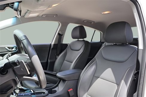 Used 2019 Hyundai Ioniq Limited image 12