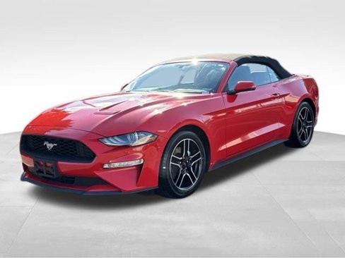 Used 2019 Ford Mustang Premium image 3