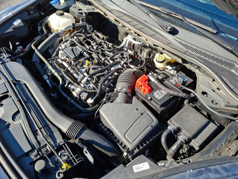 Used 2022 Ford Escape SEL image 29