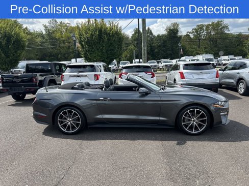 Certified 2019 Ford Mustang Premium w/ Equipment Group 201A image 10