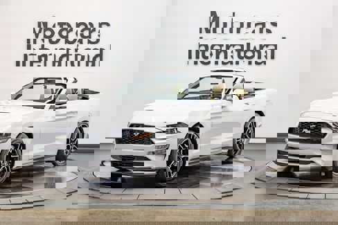 Used 2020 Ford Mustang Premium image 1
