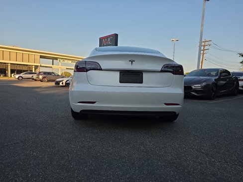 Used 2020 Tesla Model 3 Standard Range Plus image 12