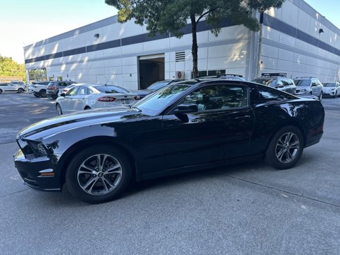 Used 2014 Ford Mustang Premium image 6