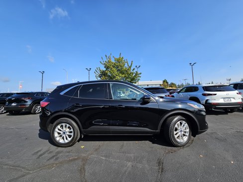 Used 2020 Ford Escape SE image 5