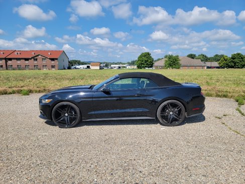 Used 2017 Ford Mustang Premium image 6