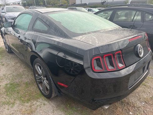 Used 2014 Ford Mustang Coupe w/ V6 Performance Package image 8