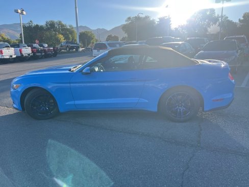Used 2017 Ford Mustang Premium image 12