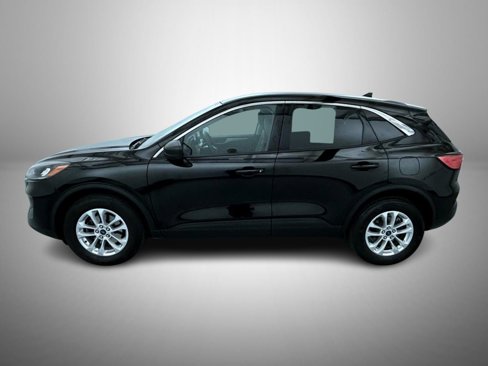 Used 2022 Ford Escape SE w/ Convenience Package image 8