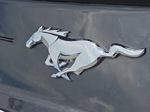 Used 2019 Ford Mustang Premium image 10