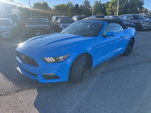 Used 2017 Ford Mustang Premium image 14