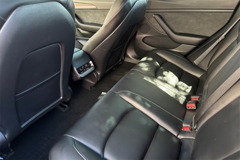 Used 2023 Tesla Model 3 Standard Range image 11