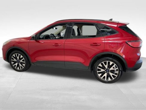 Used 2020 Ford Escape SE Sport image 3