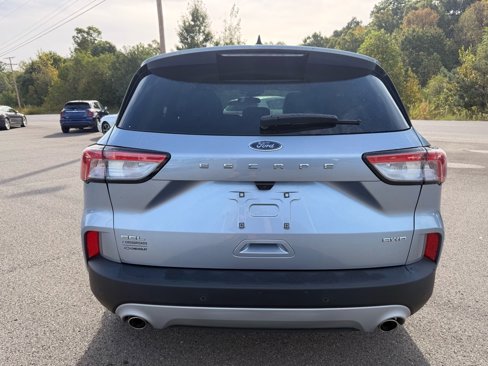 Used 2022 Ford Escape SEL image 4