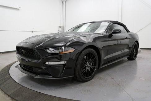 Used 2020 Ford Mustang Premium image 3