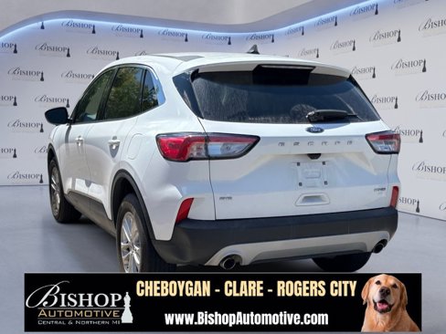 Used 2022 Ford Escape SE w/ Cold Weather Package image 13