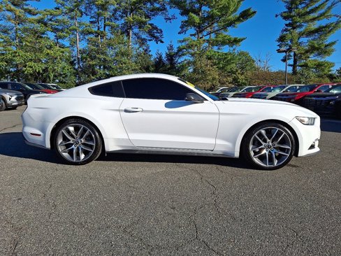 Used 2017 Ford Mustang Premium w/ Equipment Group 201A image 7
