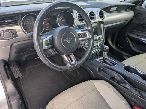 Used 2019 Ford Mustang GT Premium image 13