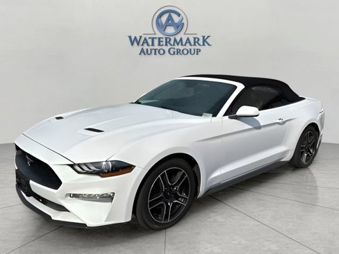 Used 2022 Ford Mustang Premium image 9